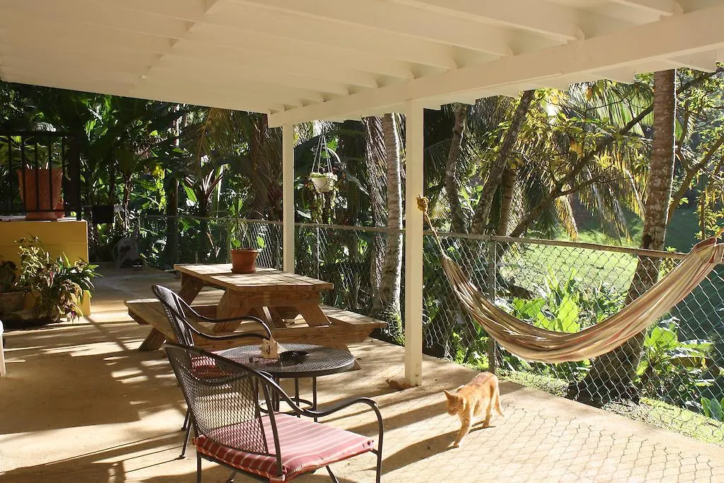 Hotel Ceiba Country Inn Fajardo