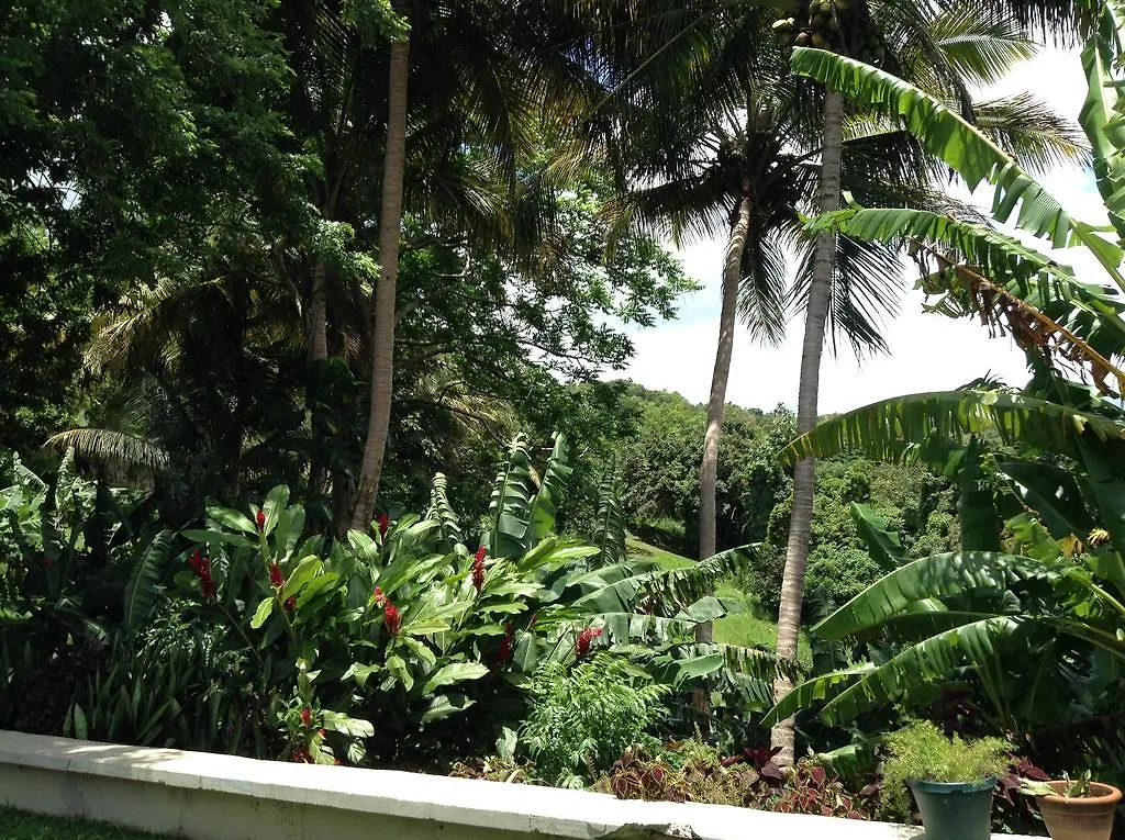 Ceiba Country Inn Fajardo